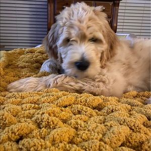 Meet your Posher, Hailey